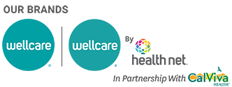 Go to Wellcare homepage